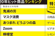 「2020年ヒット商品ランキング」トップ30が発表 『あつ森』『リングフィットアドベンチャー』がランクイン！