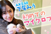 【癒し】下尾みうさん、マイクロブタと触れあう