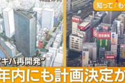 【悲報】秋葉原、消滅
