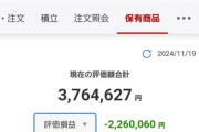 【悲報】ワイの株の含み損､一生なくならない…