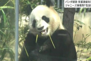 【パンダ】仙台市へのパンダ誘致に「ジャニーズ事務所」が従来通り資金支援する意向を示す