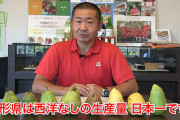 フランス原産の洋梨「ラ・フランス」栽培してるのは日本だけ