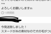 【悲報】メルカリでマフラー買い俺、発送直後に犬の毛がついてることを報告されてしまうｗｗｗｗｗｗｗｗｗｗｗｗ