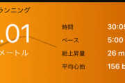 糞デブわいが一年間ランニングし続けた結果
