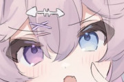 【VTuber】親がコメ欄に現れて休止になった娘、本気で追い込みに来られてて草『心配でとかじゃないのか…』