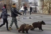 【動画あり】陽キャロシア人「お前あの熊の上乗ってこいよ」陰キャ「無理無理」