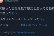 【画像】コウメ太夫のまいにちチクショー、もう訳のわからない領域に突入する