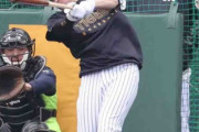 【阪神】新助っ人のディベイニーが２日連続ランチ特打　アーチを放ちファンにお辞儀をする場面も