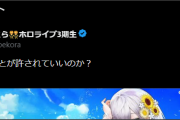 【ホロライブ】団長の水着マジでエグいな…【エッッ】