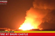 海外「世界遺産の首里城で火災発生 !!」海外からも悲痛の声(海外の反応）