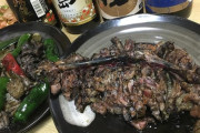 宮崎県とかいうフィリピンのスラムやアフリカコンゴよりヤバい肉を出す日本の県ｗｗｗｗｗ