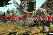 【FF14】「無人島に虫が一匹もいないのはおかしい」古参ヒカセン「昆虫を出すと騒ぐ人が多い」「マウントのコンガマトーでさえキモいって言う人いるから…」