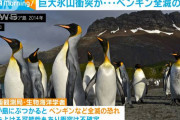 富山県と同じ大きさの巨大氷山、サウスジョージア島に衝突の可能性