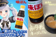 【VTuber】めあに食品の案件を出す勇気