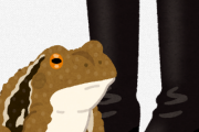 カエルのオスさん、出会いが少なすぎて「ブーツ」でも飛びついて交尾しようとする・・・