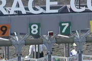 競馬場の8番ゲートがまさにアレで草ｗｗｗ「異変に気づいたら引き返しましょう」