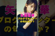 乃木坂46・矢田萌華がブログで匂わせか？#芸能界 #芸能 #shorts #乃木坂46 #乃木坂