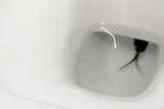 【動画】トイレの配管を逆に上ってきたこの生き物(((ﾟДﾟ)))