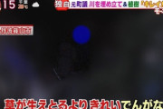 【悲報】元町議「蛍の為に川の形を変え、電線を切りました。なかなか出来る事とちゃいまっせ」