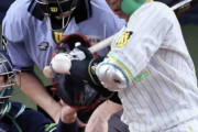 【阪神】梅野隆太郎、死球骨折で離脱に無念「このために常に頑張ってきている」V争い渦中に悲劇
