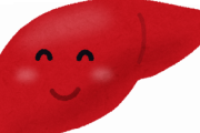 【悲報】肝臓（ってお～いｗｗｗそんなに飲んだら俺っち壊れちまうよｗｗｗやめてくれ～いｗｗｗ）
