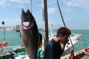 過酷なはずのマグロ漁業、若者が殺到する人気職になっていた！！！→その理由がこれ