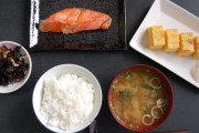 焼き鮭って脂乗ってる派とパッサパサ派がいるけどどれくらいの勢力図なんだろうな