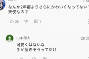 【悲報】なんJ民「檜山沙耶は可愛くはない。手が届きそうってだけ」