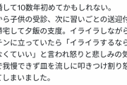 【悲報】夫さん「イライラするなら家事しなくていいよ」ギャオン嫁「ギャオオオオオンン！！！」ﾌﾞﾁｷﾞﾚ