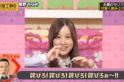 【乃木坂46】星野みなみの「詫びろ！」が最強すぎるｗｗｗｗｗ