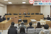 死亡事故で信号無視がバレた女「遺族には申し訳ないですけど、私にだって家族がいるんですよ！執行猶予をつけてください！」