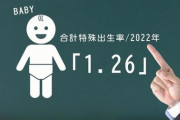 【悲報】日本政府「出生数68万人、ごめんこのままだと日本滅びるけどどうする？」