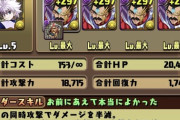 【パズドラ】ハンターハンターコラボ終了へ、やり残しはありませんか？【最終評価まとめ】