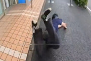 【動画】盗撮がバレて逃走中のチー牛、情けなくすっ転んで終わるｗｗｗｗｗ