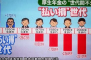 【画像】若者の9割「年金制度は詐欺だと思う」