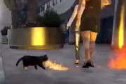 【悲報】GTAオンラインの火炎猫動画、ガチでヤバすぎる…