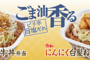 吉野家・松屋「赤字です...」すき家「黒字っすｗ」　←　これｗｗｗｗｗｗｗｗｗｗ