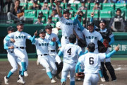 甲子園球児さんの好きな球団ランキングがこちら