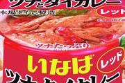 イナバのタイカレー美味すぎる