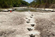 【アメリカ】干上がった川の底から「恐竜の足跡」を発見