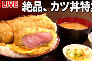 カツ丼を注文してこれが出てきたらどうする？