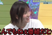 【6月22日の人気記事10選】 日向坂で会いましょうさん、とんでもねぇ番組だったこ… ほか【乃木坂・櫻坂・日向坂】