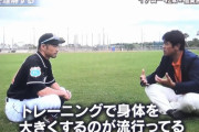 イチロー「筋トレやってはダメ。トラとかライオンって筋トレしてます？」