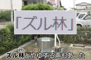 【悲報】ズル林、ズルできなくなり無事死亡
