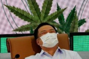 タイ政府、大麻草１００万本を全土の世帯に無料配布