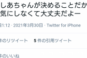 【画像】VTuber「私のアイコン使ってSNS上で人を傷付けない様にしてね」バチャ豚「大丈夫だよ！」