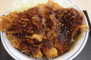 ソースカツ丼てたまに食べるとうまくね？？？