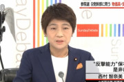 立憲民主党、反撃能力保有に反対「反撃したら敵国からさらに大きな反撃を受ける」
