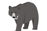 【謎】熊が普段食べているもの、不明すぎるｗｗｗｗｗ