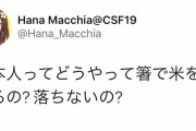 VTuber Hana「日本人ってどうやって箸で米を食べるの？」←これに対する先輩ライバーの反応がこちらｗｗｗ